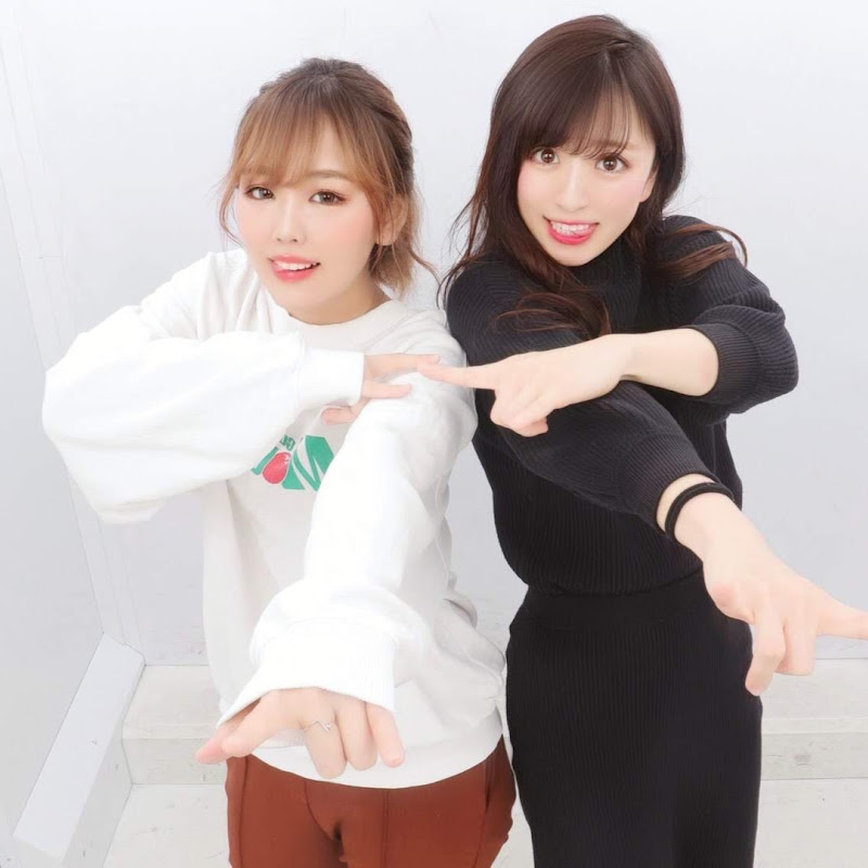 平成フラミンゴの本名は?投稿が短い動画に入れ替わった中身を実測でまとめました